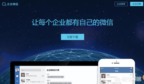 第三方应用接入 钉钉与企业微信平台管理服务对比分析
